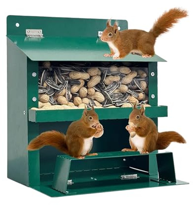 Qfdiwr Mesa de picnic para ardillas, cobertizo de invierno impermeable para roedores, decoración al aire libre para observar y alimentar animales salvajes pájaros tamias en jardines y