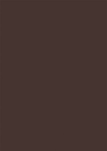 Heyda 20-3160090 Plakatkarton, 50 x 70 cm, 380 g/m², schwarz