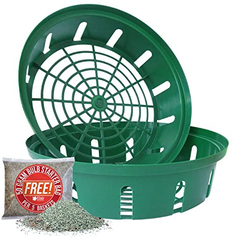 Elixir Gardens Green Plastic 30cm Bulb Planting Baskets | Quantities of 1-20 | Daffodils, Tulips, Crocus, Iris, Hyacinth & Snowdrop Easy Planters for Hanging Basket/Flowerbed | x 5