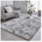 Bibykivn Tappeto Salotto Moderno Peluche Lavabile, 80x160 cm Pelo Lungo Tappeti Antiscivolo Fondo, Tappeto Camera da letto per Soggiorno Corridoio Cameretta (Grigio Chiaro, 120x160 cm)