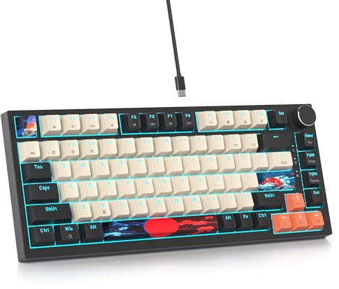 SOLIDEE Verkabelte 75% Mechanische Gaming-Tastatur,hot-swap-fähige Mechanische Tastatur mit Gasket Struktur,RGB-Hintergrundbeleuchtung,82 Tasten Kompakt TKL Tastatur mit Drehknopf(82 Big Carbon)