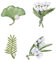 Floatdream 4 Broches Perles en émail Vert, Broches de Broche de Perles de Feuille Vintage, Broche de Décoration de Plantes, Utilisées pour Les fêtes, Les Mariages et Les Anniversaires (Vert Pur)