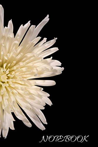 Notebook: Chrysanthemum Bloom