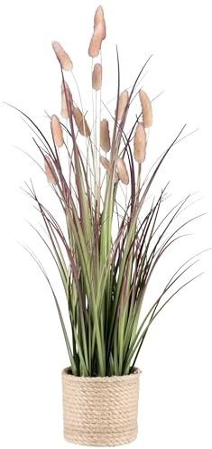CREATIV green Lagurusgras im Topf, 60cm, rosa Pfeffer - echte getrocknete Wedel