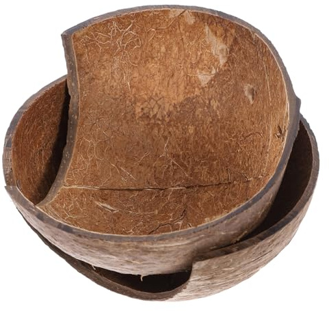 TOYANDONA 2 pièces Cachette Reptile Coquille de Noix Naturelle Abri Portable et Décoratif pour Gecko Léopard Tortue et Lézard Refuge Frais pour Terrarium et Habitat Petits Animaux