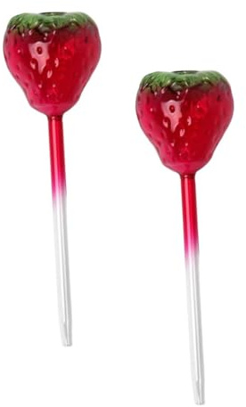 SEWACC Lot de 2 Globes D’Arrosage en Verre de Fraise Système D’Arrosage Automatique Goutte à Goutte pour Plantes D’Intérieur et Extérieur Dispositif Réutilisable pour Entretien Facile