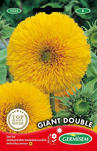 Germisem Giant Double Semi di Girasole 2 g