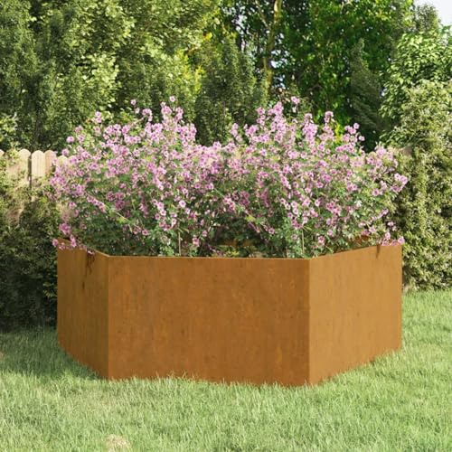 Jardinière surélevée en Acier Corten - Décoration Durable pour Votre Jardin