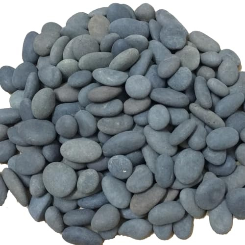 ruidinaways 900 g di ciottoli naturali, ciottoli decorativi, ciottoli naturali per acquari, giardini, decorazioni e piante, pietre irregolari per paesaggi e progetti fai da te