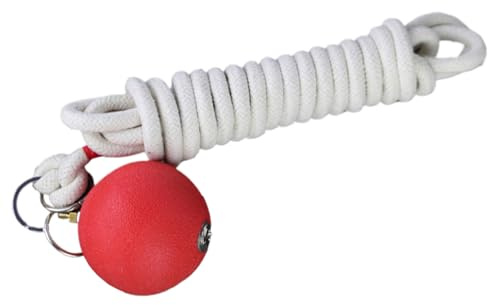 de Artes Marciales - Entrenador de dardo de Cuerda de Ejercicio con Bola de Goma | Herramienta de Entrenamiento Tradicional China para Artes Marciales, Equipo de práctica de Fitness para
