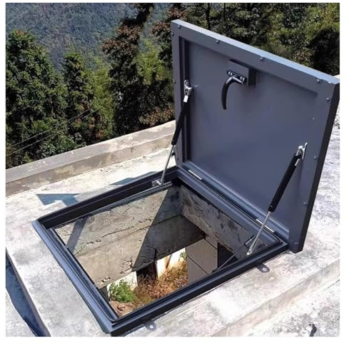 Taquilla de techo para puerta de sótano, tapa de salida de pozo y sótano con barras de soporte hidráulicas y asa, contraventana metálica galvanizada para exteriores (Lxw,25x28/64x71cm)