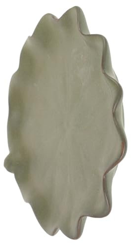 ibasenice Sottovaso per Piante in Ceramica Vassoio Antigoccia per Vasi da Fiori Piatto per Raccolta Acqua Vassoio per Bonsai e Piante da Interno