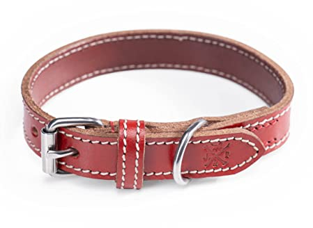Hundehalsband aus Leder – Robustes & Elegantes Lederhalsband – Hunde Halsband für kleine & große Hunde Tom rot (XL (48-58cm))