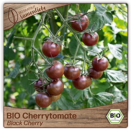 Samenliebe BIO Cherrytomaten Samen alte Sorte Black Cherry süß fruchtige Cocktailtomate Tomate schwarz rot 10 Samen samenfestes Gemüse Saatgut für Gewächshaus Freiland und Balkon BIO Gemüsesamen
