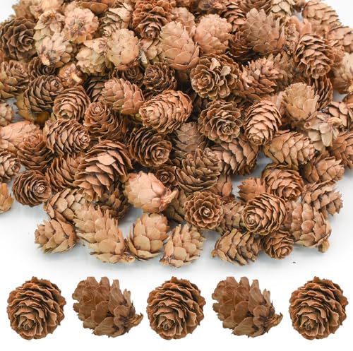 Bacucine 200Pcs Natural Mini Pine Cones Christmas Decoration Small Pinecones for Thanksgiving Fall Winter Wedding Vase Filler Home