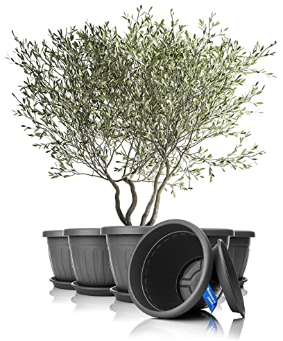 BigDean 6X Blumentopf mit Untersetzer rund ø50xH38 cm anthrazit - wetterfester Pflanzkübel - Wasserablauf UV-beständig aus bruchsicherem Kunststoff - Innen + Außen geeignet - Made in Europe