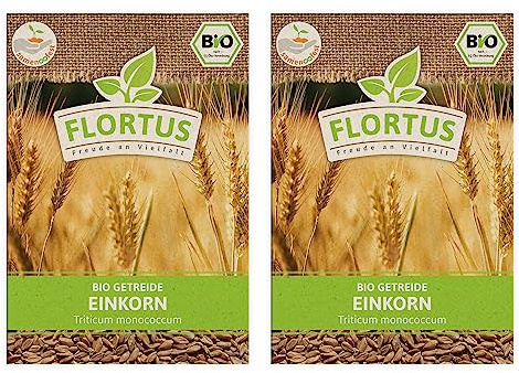 FLORTUS BIO Einkorn Getreide Samen 150g | Alte Sorten robustes Urgetreide zur Herstellung von Nudeln Brot Sauerteig & Microgreens | Sprossen Samen