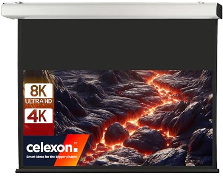 celexon Expert XL Motor-Leinwand 210 | 450x281 cm 16:10 | elektrische 8K, Full-HD Installations-Leinwand für jahrelange Projektionsfreude mit Ihrem Beamer | geeignet zur Decken- und Wand-Montage