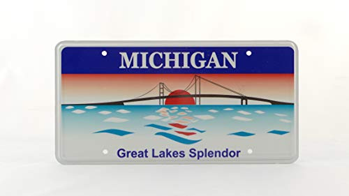 Placa de matrícula de Michigan US USA en relieve personalizado