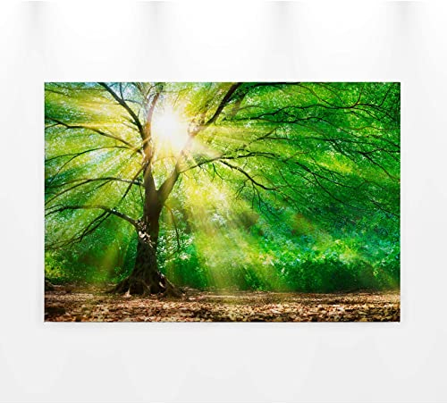 BRICOFLOR Leinwand Bild mit Baumkrone und Sonne | Grünes Leinwandbild ideal für Schlafzimmer und Büro | Keilrahmen Bild mit Wald und Sonnenstrahlen auf Canvas
