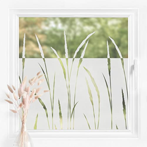Bilderwelten Fensterfolie Sichtschutz Schilf Gräser 60 x 200 cm Milchglasfolie Sichtschutzfolie Fenster Folie Blickdicht Anti-UV Statisch Haftend Querformat