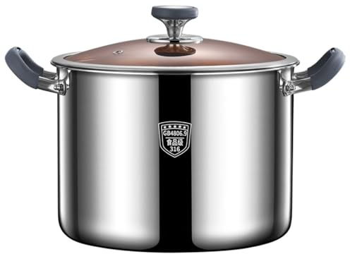Olla de acero inoxidable 316 de 30 cm, olla de cocción lista para inducción con tapa de vidrio, olla profunda de alta capacidad para pasta sopa, congee y espaguetis y utensilios de cocina versátiles