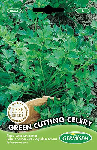 Germisem Schnittsellerie GREEN CUTTING CELERY, mehrfarbig, EC6003