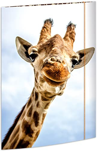 RNKVERLAG 45359 - Zeichenmappe Safari 310 x 440 mm DIN A3 mit Gummizugverschluss, 1 Stück