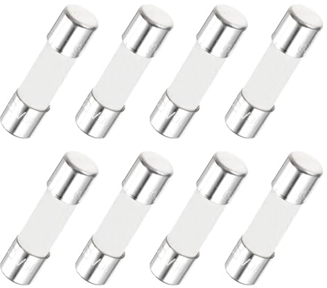 QUARKZMAN 8er Packung Keramik Sicherung 10A, Träge Feinsicherung 5x20mm Glassicherung 250V für Lichtern, Elektronik