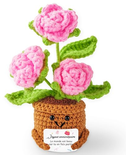 Cadeau Anniversaire Femme Personnalisé Cadeaux d'anniversaire Femme Original, Idee Motivation Positive Rose Au Crochet pour Amie Soeur Maman Fille Copine Collègue Ans 18 30 40 50 60 70