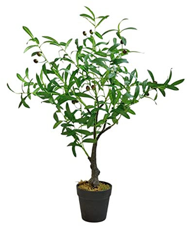 Bonsai para Escritorio Árbol Artificial de 31 Pulgadas, Planta de Olivo Artificial, árbol Ornamental en Maceta Artificial, Sala de Estar Interior decoración Verde pequeño bonsái Artificial