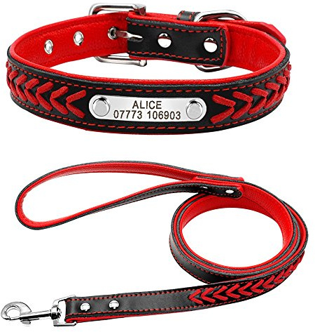 Beirui Weich geflochtenes Hundehalsband Leder, Halsband Hund mit Hundemarke und Leine ca. 120 cm.
