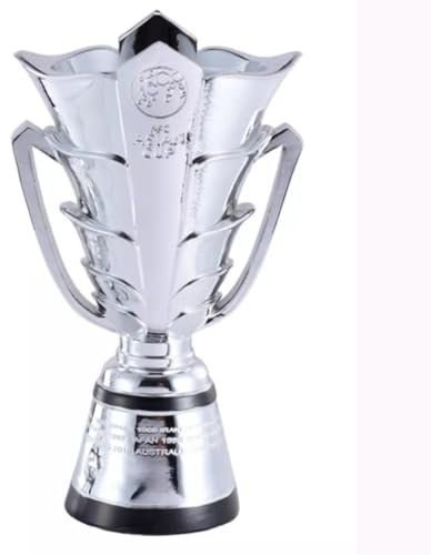 NaiiiL 34cm, Coppa D'asia AFC Qatar 2024 Trofeo Coppa in Resina Incisione Gratuita E Regalo per I Fan