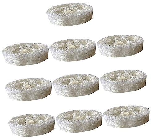 Gogogmee 10piezas Esponjas Lufa Natural Lavar Platos Cepillo Limpieza Cocina Herramientas Lavado