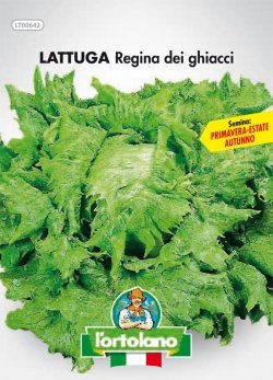 Sementi orticole di qualità l'ortolano in busta termosaldata (160 varietà) (LATTUGA REGINA DEI GHIACCI)