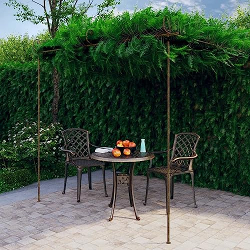 Camerina Pergola de jardin en fer, pergola de jardin, pergola, plante de jardin, pergola de jardin, pergola de jardin, pergola d'extérieur marron antique 3 x 3 x 2,5 m