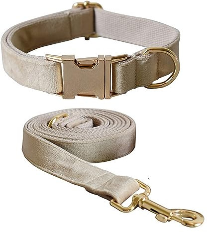 Hundehalsband und Leine aus weichem Samt mit robuster Metallschnalle – verstellbare, langlebige Haustierhalsbänder mit Hundeleinen für kleine, mittelgroße und große Hunde – bequem und einfach zu