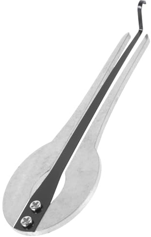 SWOOMEY Mundharfe aus Metall für Anfänger mit Klarem Klang und Reichem Obertönen Leichtes Ethnisches Musikinstrument für Aufführungen