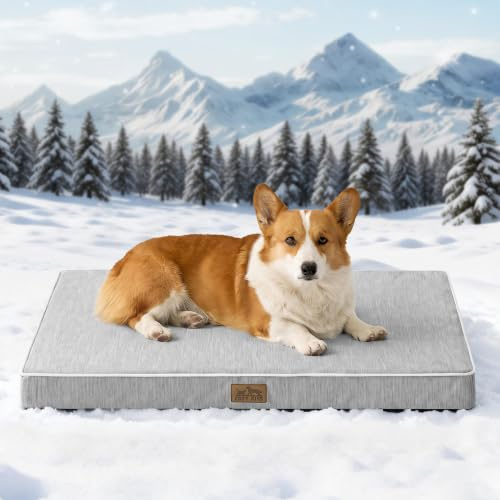 COZY KISS Letto Rinfrescante Cani Grossa Taglia L, Q-Max>0.4 Cuscinetto Ortopedico Traspirante Memory Foam Gel, Materasso Lavabile Trasportino, Fondo Antiscivolo, 91x69x7.5cm, Grigio Argento