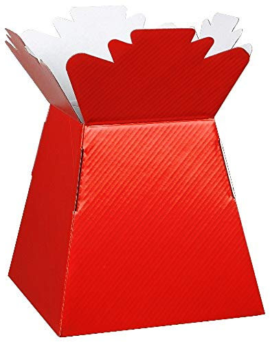 floral natalie 5 x Red Florist Aqua Boxes - Living Vases - Hand Tie Boxes by Apac