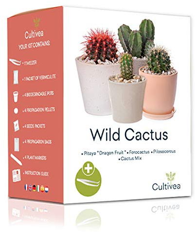 Kaktus-Set – Französische Samen 100% ökologisch – im Garten und zum Dekorieren – Geschenkidee (Pitaya „Drachenfrucht“, Ferocactus, Pilosocereus und Cactus Mix) - CULTIVEA®