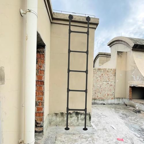 Échelle de secours murale en métal pour fenêtre de cave - 210 cm - 250 cm - Échelle universelle avec capacité de charge de 150 kg