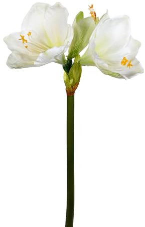 Seidenblumen Roß Amaryllis Real Touch 68cm GA Kunstblumen künstlicher Ritterstern Blumen Pflanzen (Weiß)