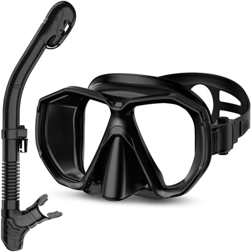 Honlanor Schnorchelset Erwachsene Schnorchelausrüstung Anti-Leck und Anti-Beschlag gehärtete Glaslinse Panoramablick Schwimmmaske Trockendeckel Schnorchelset für Schnorcheln Tauchen, Schwarz