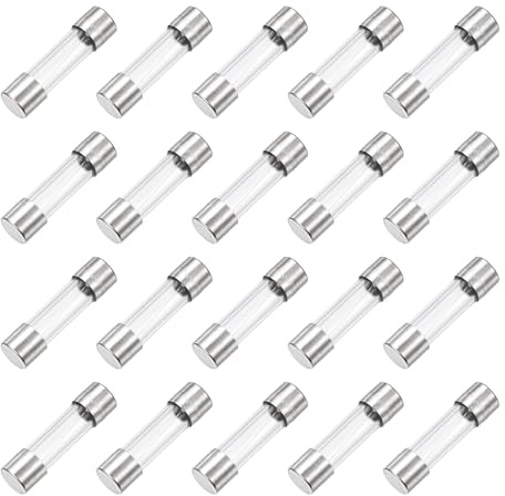 QUARKZMAN 20er Packung 1A Glassicherung 5x20mm Schnellschlag Auslösecharakteristik 250V Sicherung, Silber