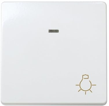 Pulsador de luz, color blanco, diseño sencillo, ideal para encender y apagar luces de forma fácil y rápida.