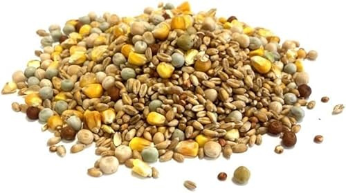 Mixed Pigeon Corn 750g Premium Quality Bird Food MDJ