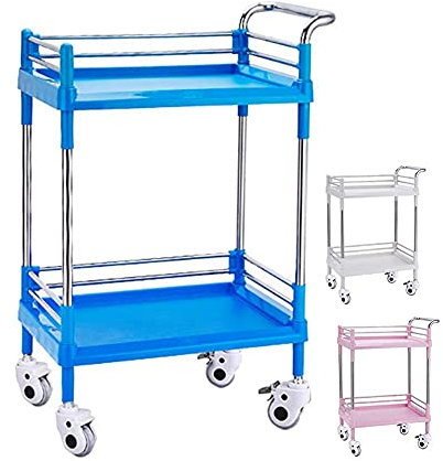 JFNHUTL CartsStorage Autoservice Auto Nutzfahrzeug Multifunktions-Trolley Tragbarer Heimwagen Trolley 2-stöckiger Rollwagen Salon Friseur Friseur Schönheit
