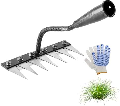 Rack in ferro 2,0, rastrello in ferro per giardinaggio e diserbo, Hochleistungs-Kohlenstoffstahl-Entgitterrechen con 5/6/7 / 8 denti, strumento professionale per diserbo da giardino (6 Teeth)