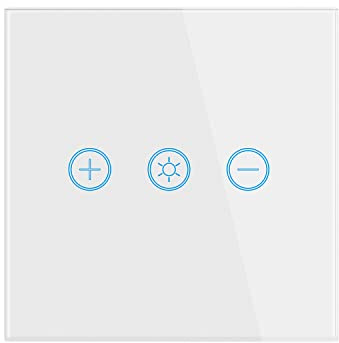 Lancoon Interruttore Dimmer Professionale con Supporto per Pannello in Vetro Temperato Funzione di Temporizzazione del Telecomando Senza fili Vocale per Lampada Dimmerabile(bianco)